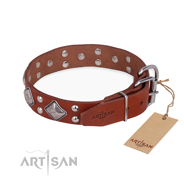 Full grain leather dog collar with stylish durable adornments