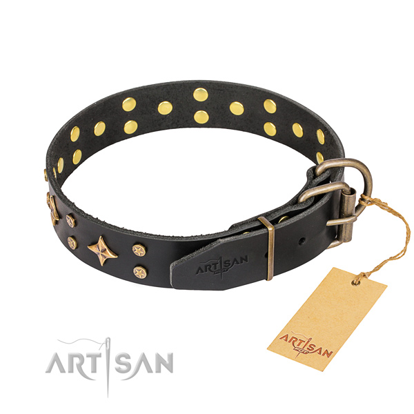 Comfortable wearing studded dog collar of finest quality natural leather