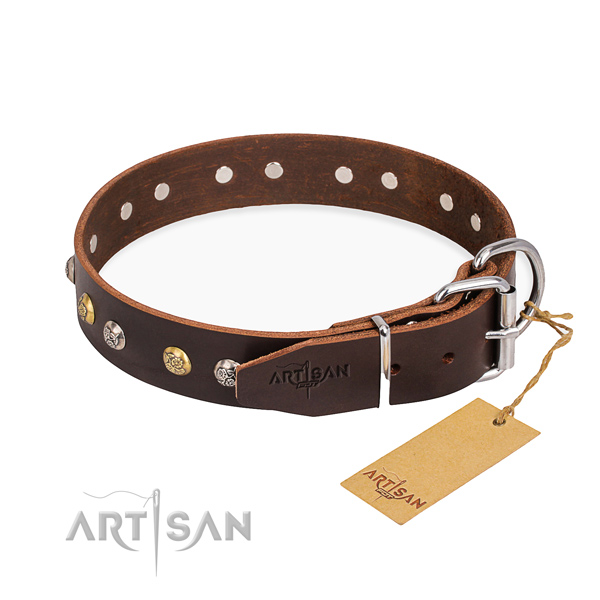 Top notch leather dog collar created for everyday walking