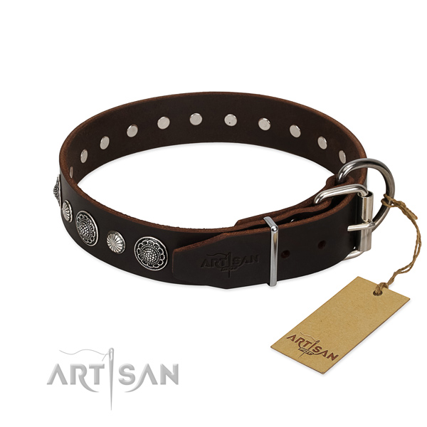 Quality leather dog collar with corrosion proof fittings