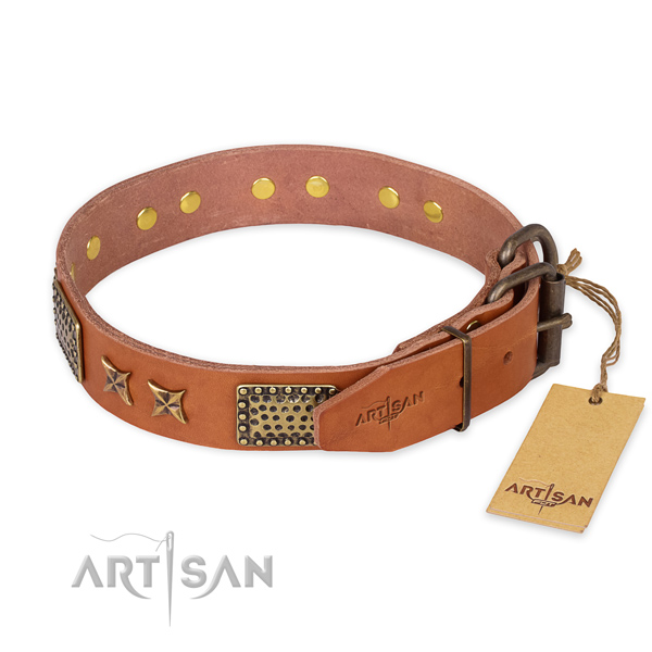 Reliable buckle on full grain leather collar for your beautiful dog