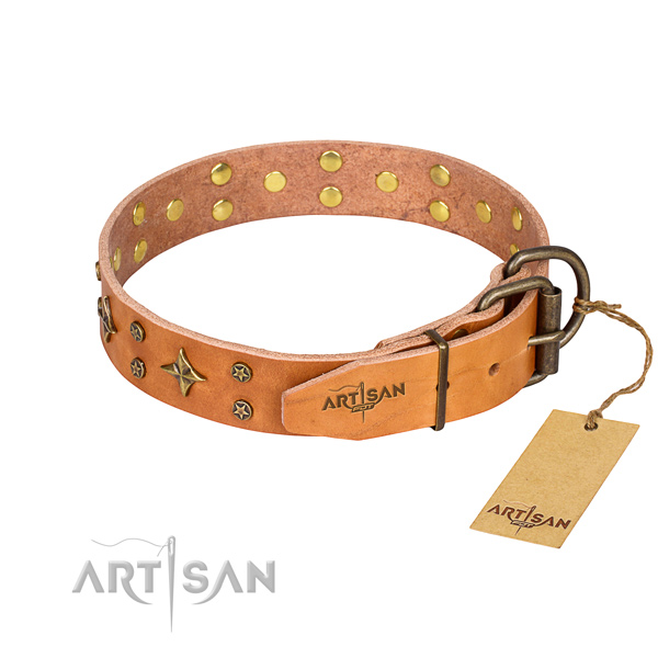 Everyday walking decorated dog collar of top notch full grain natural leather