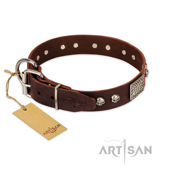 Strong embellishments on stylish walking dog collar