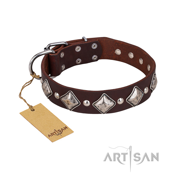 Walking dog collar of top notch leather with decorations