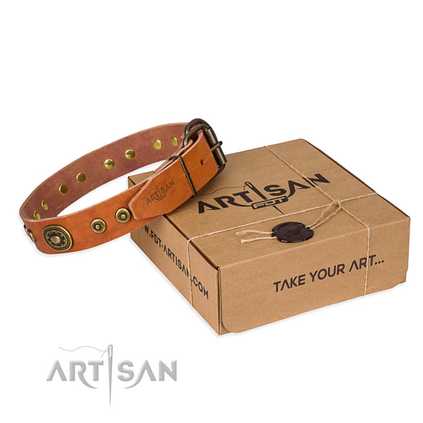 Full grain natural leather dog collar made of flexible material with rust resistant traditional buckle