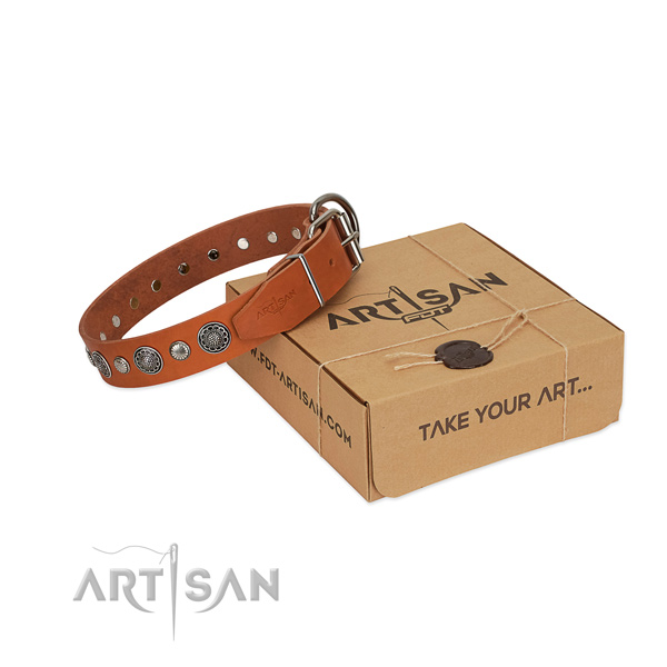 Natural leather collar with durable fittings for your impressive doggie