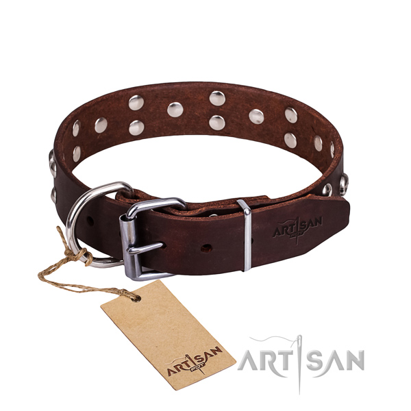 Daily walking dog collar of strong natural leather with adornments