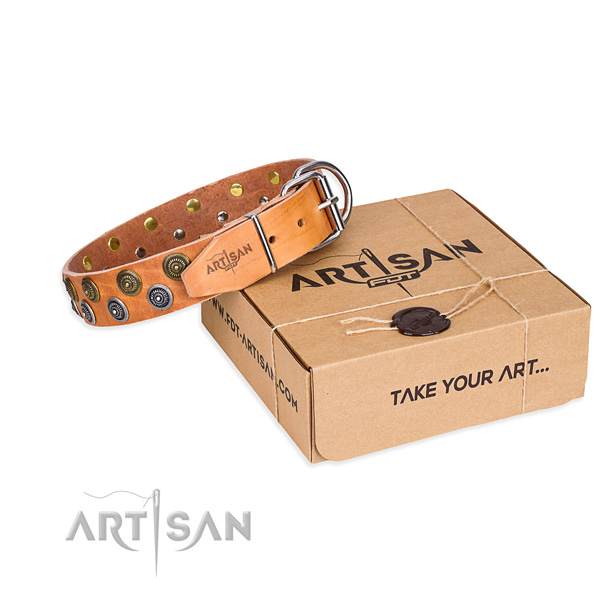 Daily use dog collar of strong genuine leather with studs