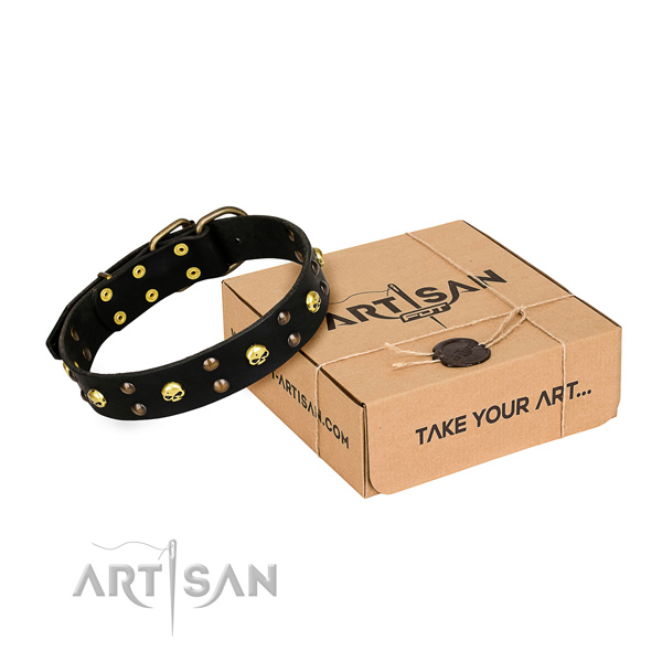 Daily walking dog collar of finest quality leather with decorations