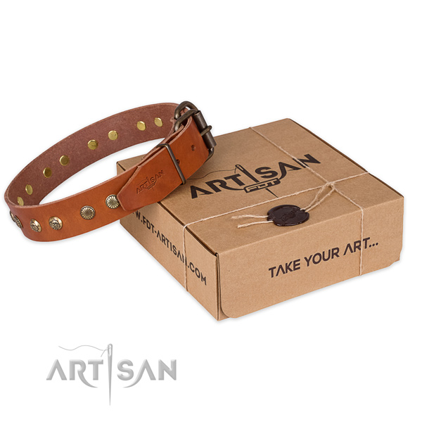 Rust resistant buckle on full grain leather collar for your impressive doggie