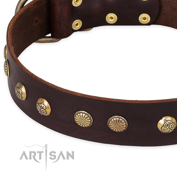 Leather collar with reliable D-ring for your impressive doggie