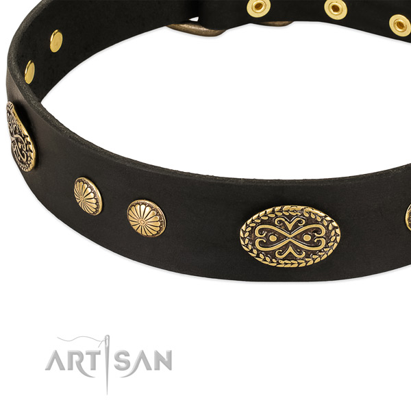 Corrosion resistant embellishments on genuine leather dog collar for your four-legged friend