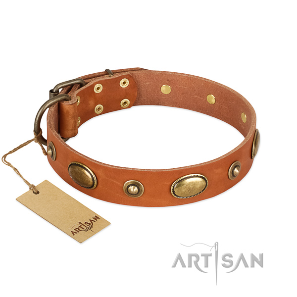 Handcrafted natural leather collar for your four-legged friend