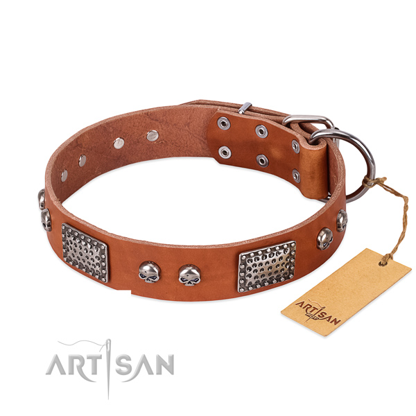 Adjustable full grain genuine leather dog collar for everyday walking your canine