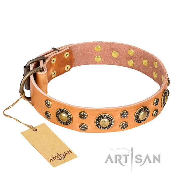 Basic training dog collar of reliable leather with decorations