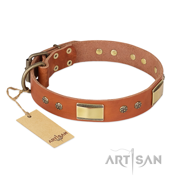 Extraordinary full grain natural leather collar for your pet