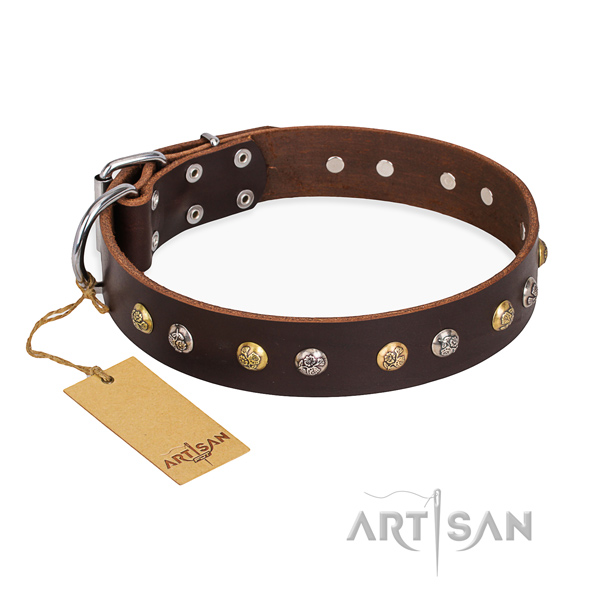 Daily walking amazing dog collar with rust resistant traditional buckle