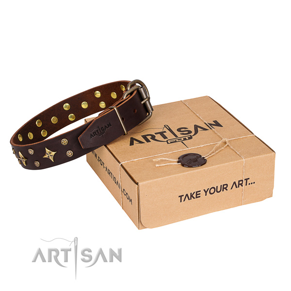 Daily use dog collar of strong leather with studs