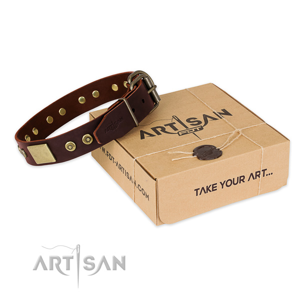 Strong traditional buckle on dog collar for easy wearing