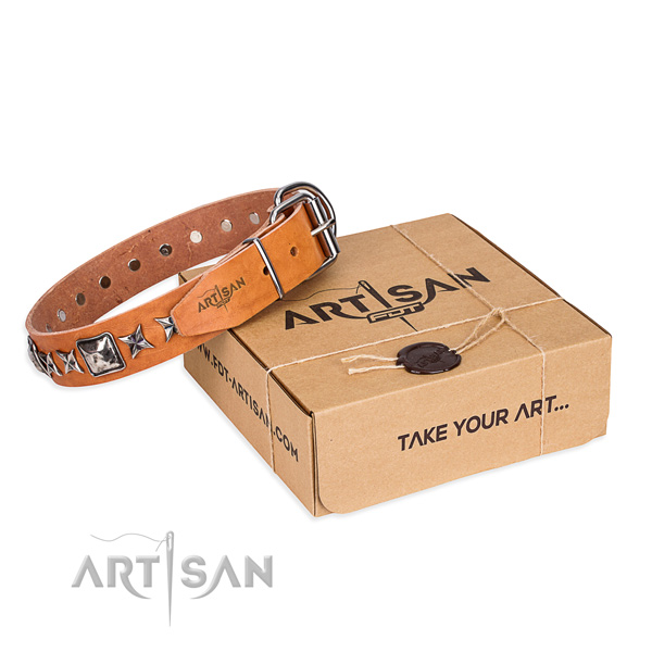 Everyday use dog collar of top notch full grain natural leather with embellishments