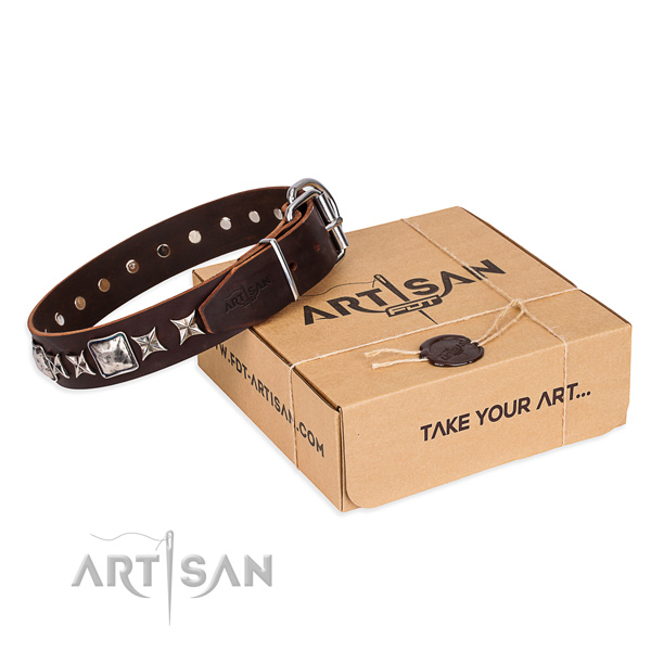 Everyday use dog collar of top quality full grain natural leather with studs