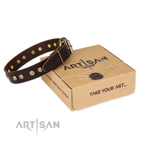 Durable D-ring on leather collar for your impressive canine