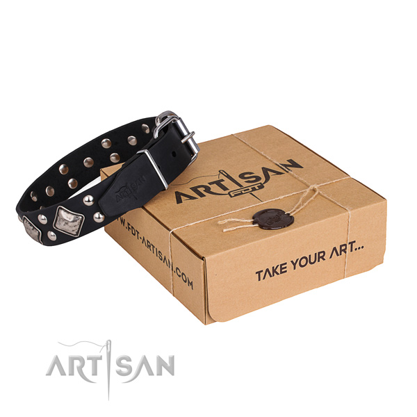 Everyday walking dog collar with Stylish rust resistant studs