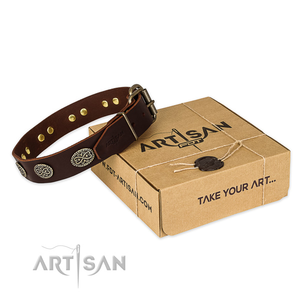 Rust-proof traditional buckle on leather collar for your stylish pet