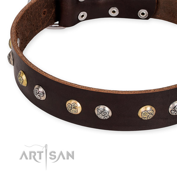 Leather dog collar with fashionable durable embellishments