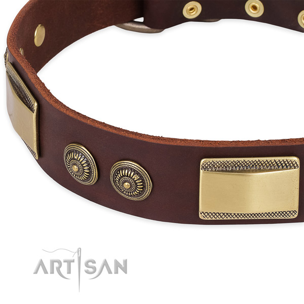 Studded full grain natural leather collar for your stylish pet