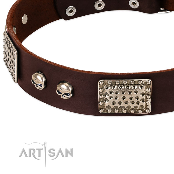 Rust resistant embellishments on leather dog collar for your canine