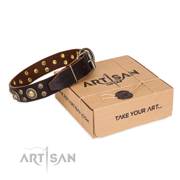 Walking dog collar of durable full grain natural leather with decorations