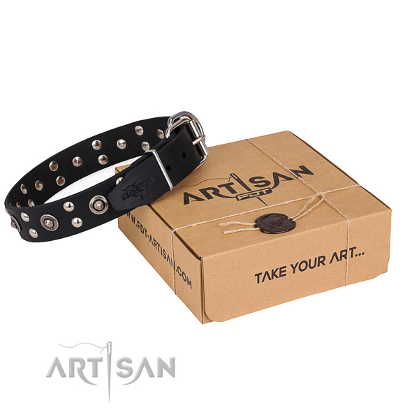 Stylish walking dog collar with Unique rust resistant studs