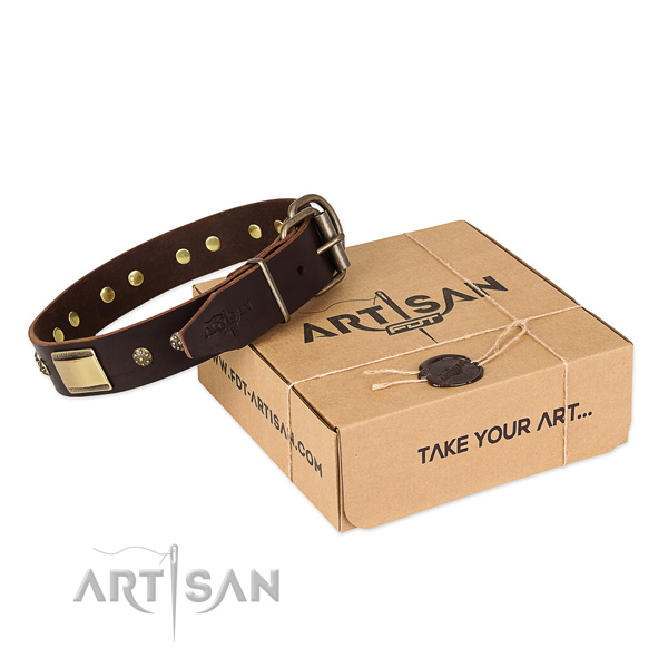 Unusual full grain natural leather collar for your attractive canine