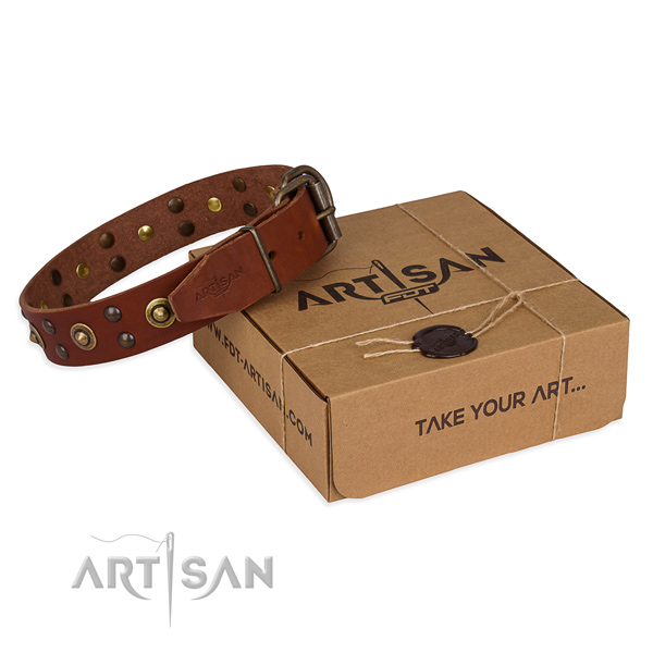 Rust-proof hardware on leather collar for your beautiful doggie