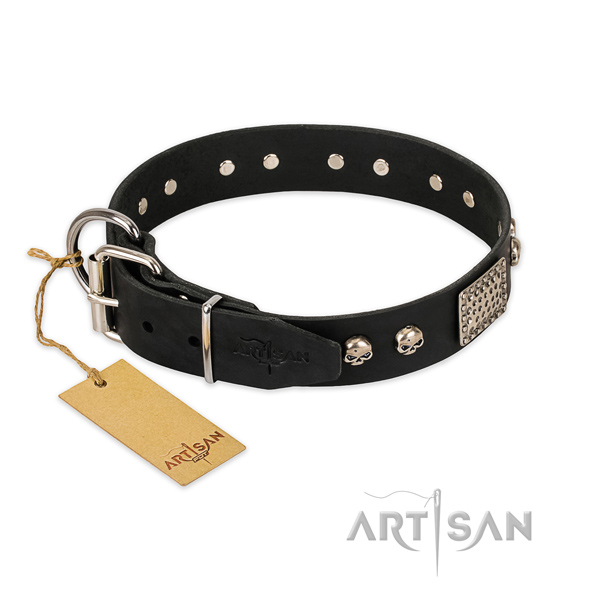 Rust resistant fittings on basic training dog collar