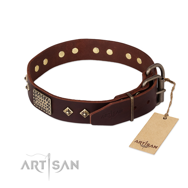 Genuine leather dog collar with rust-proof fittings and embellishments