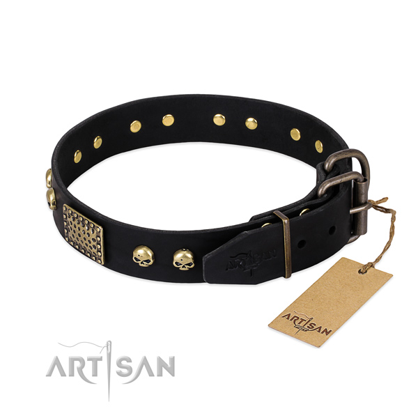 Durable buckle on everyday use dog collar