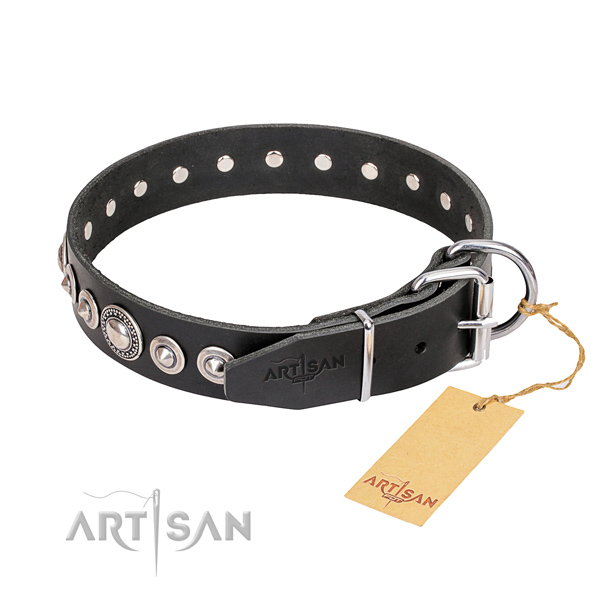 Strong adorned dog collar of natural leather