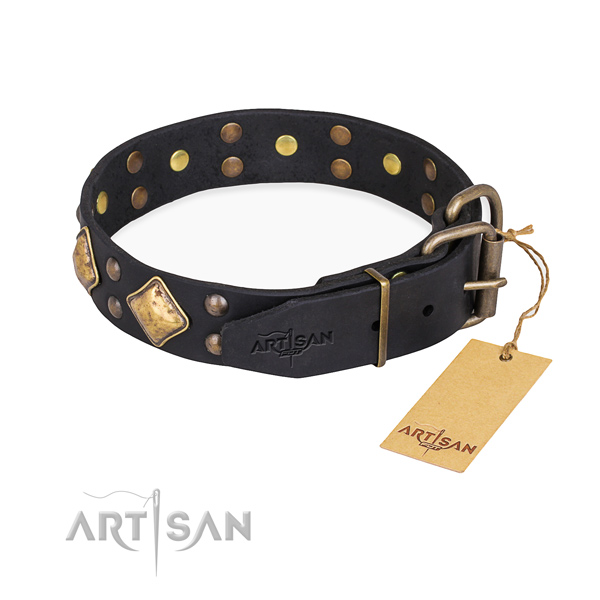 Full grain genuine leather dog collar with awesome corrosion proof studs