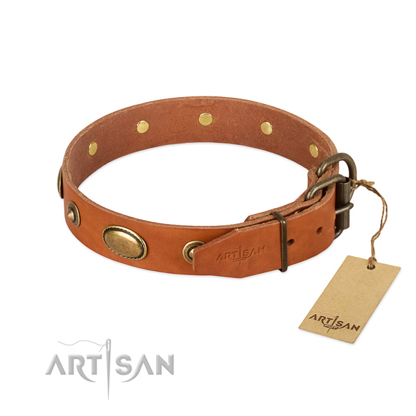 Reliable adornments on natural leather dog collar for your four-legged friend