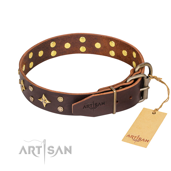 Fancy walking adorned dog collar of top quality leather