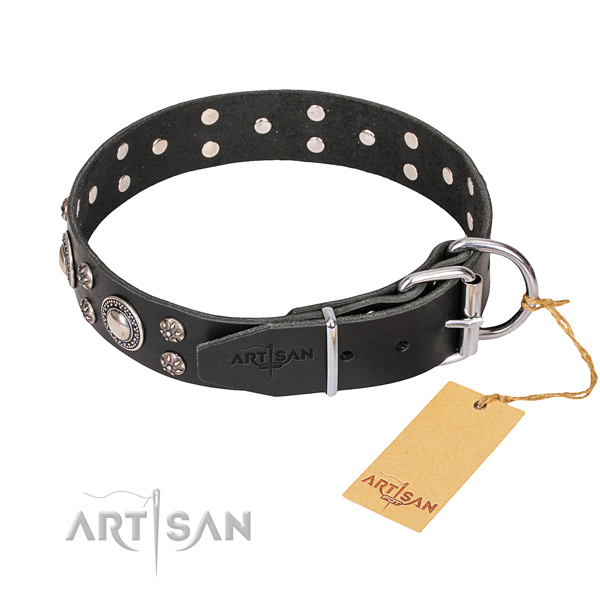 Stylish walking embellished dog collar of top notch natural leather