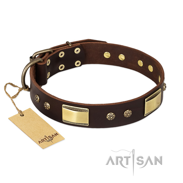 Full grain genuine leather dog collar with rust-proof hardware and studs