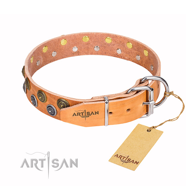 Comfortable wearing embellished dog collar of top notch full grain leather