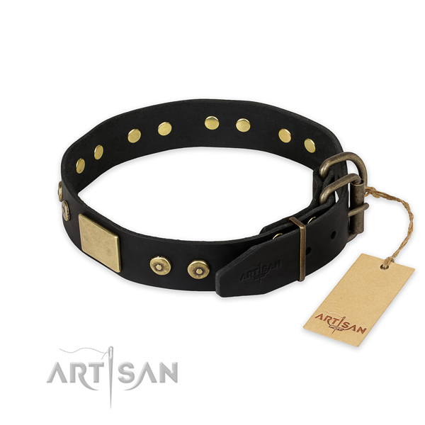 Reliable buckle on full grain leather collar for stylish walking your four-legged friend