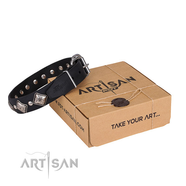 Everyday walking dog collar of reliable natural leather with adornments