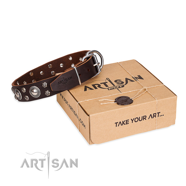 Stylish walking dog collar of high quality full grain genuine leather with decorations