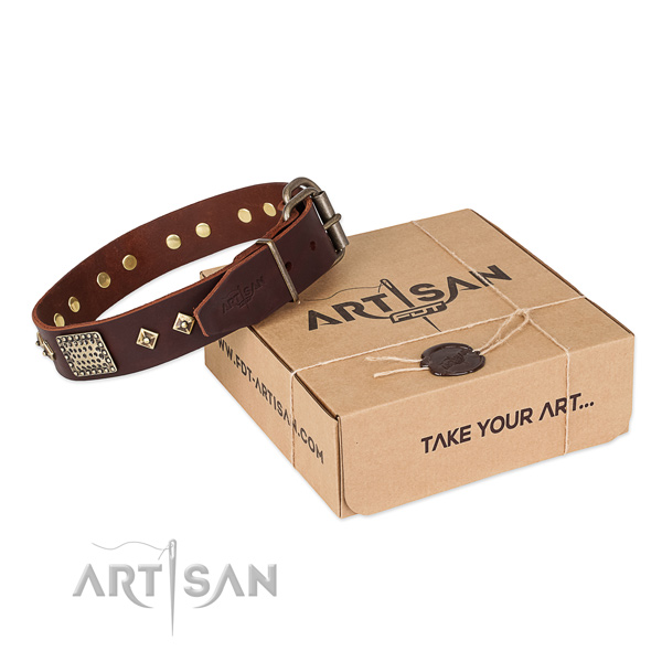 Studded full grain genuine leather collar for your stylish canine