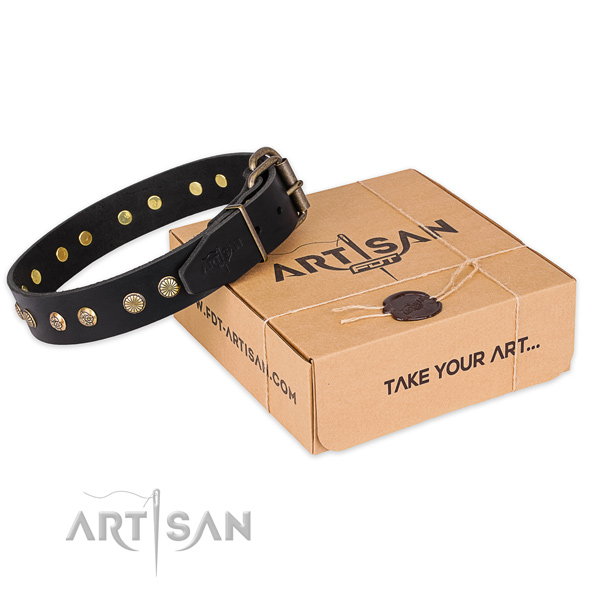 Rust-proof buckle on leather collar for your handsome canine